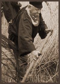 Outils d'Antan - Faux Photo personne qui fauche