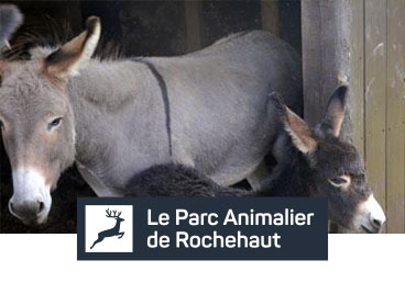 Entre Ferme et Forêt Parc animalier - Anes