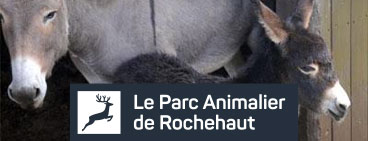 Entre Ferme et Forêt Parc animalier - Anes